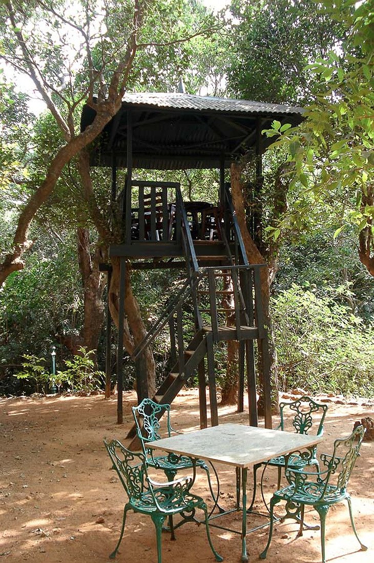 Dune Barr House Verandah in the Forest 19th Century Colonial Bungalow In India